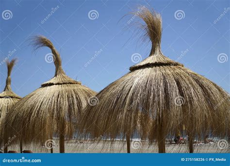 pajas en la playa